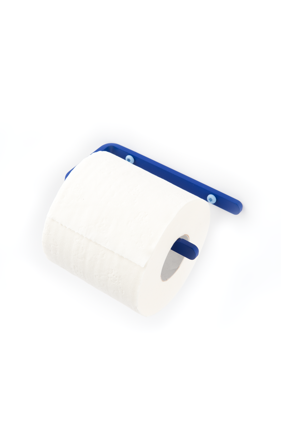 deep blue toilet paper holder with ice blue screws