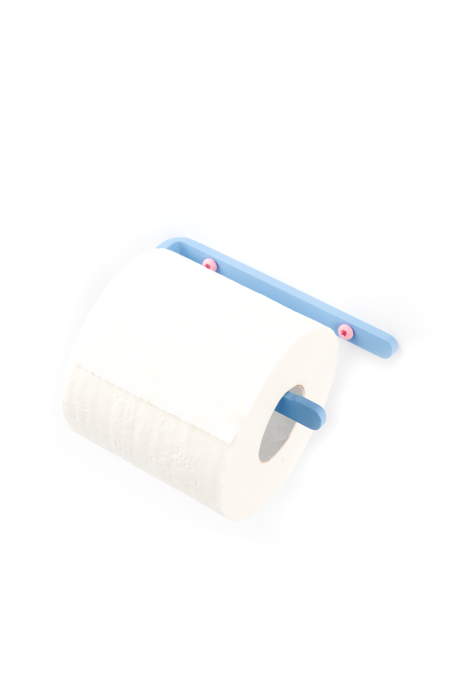 Ice blue toilet paper holder with pink screws