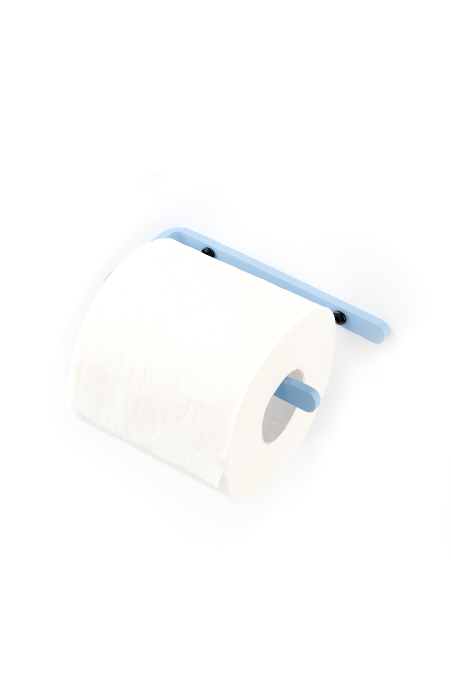 Ice blue toilet paper holder with black screws