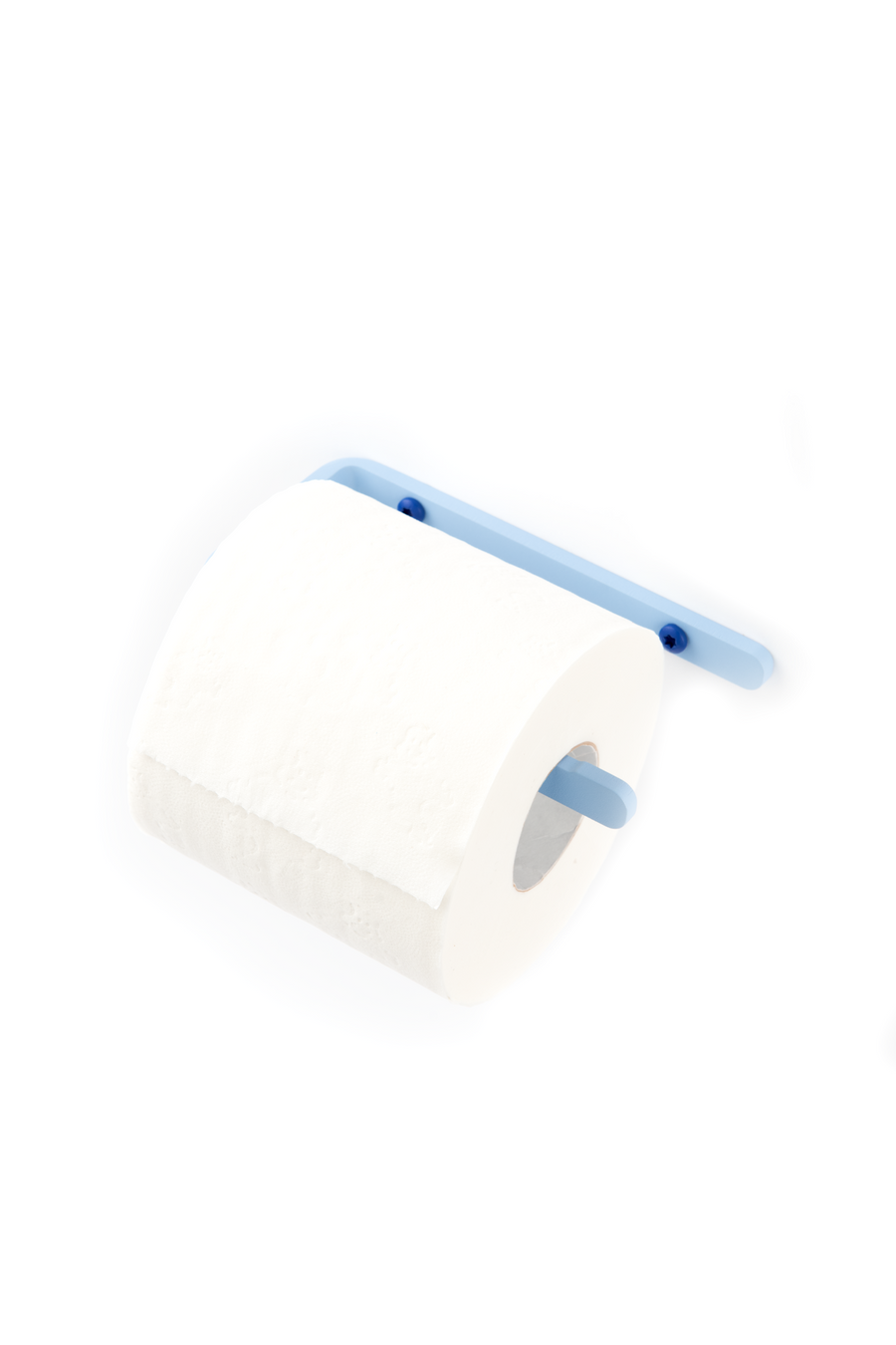 Ice blue toilet paper holder with deep blue screws