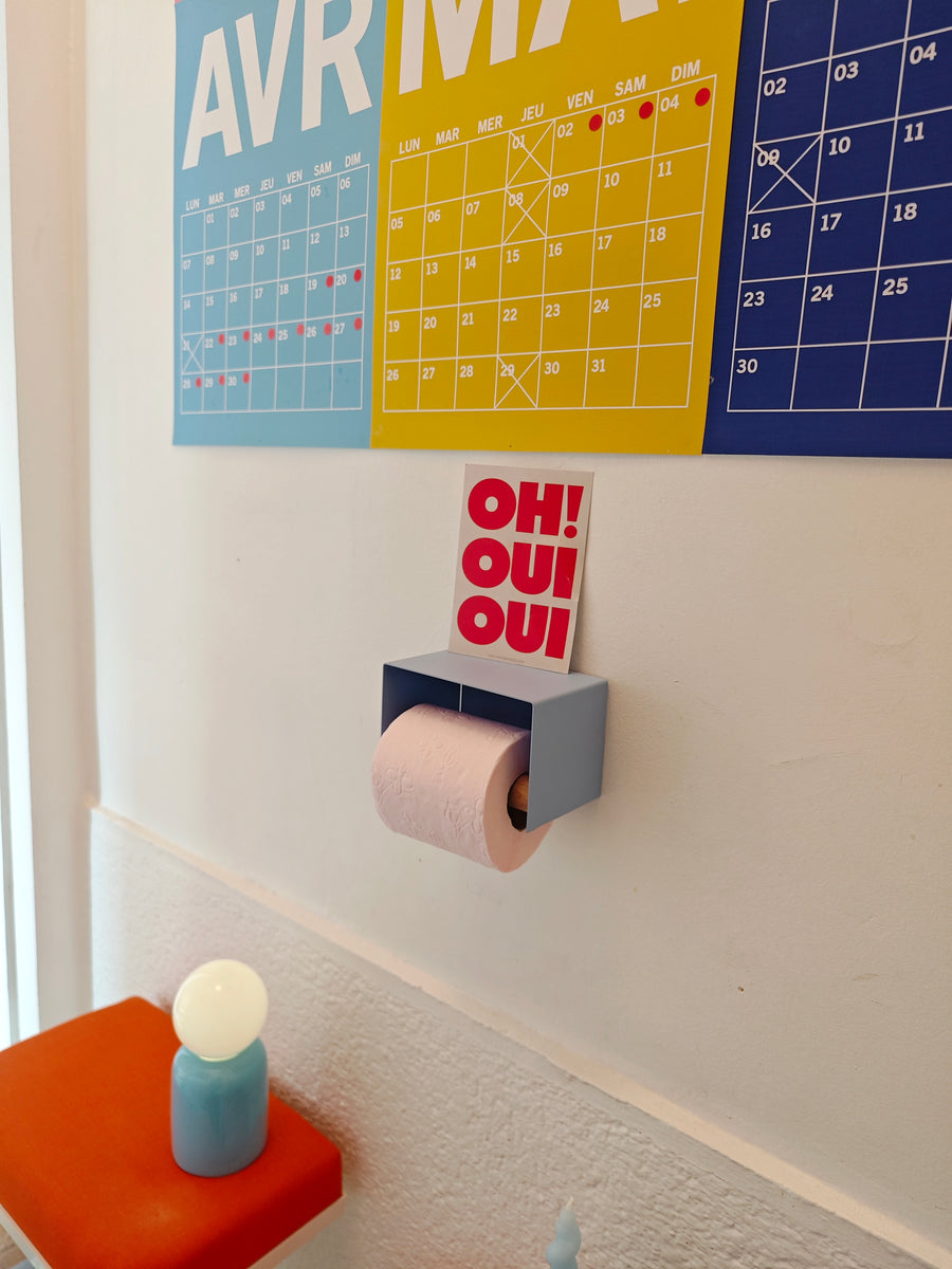 Ice blue toilet paper holder in a colourful toilet